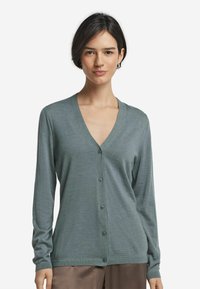 Grön v-ringad cardigan i mjukt stickat tyg, med sex framknappar, långa ärmar och en avslappnad passform. Enkelt och mångsidigt design.