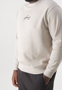 Felpa beige chiaro con scollo rotondo, polsini e orlo a costine. Presenta un piccolo logo firmato nero sul petto.