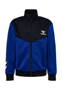 Niewybrane, sodalite blue