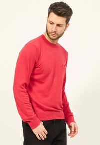 Pullover rosso in materiale morbido, con scollatura rotonda e maniche lunghe. Dettaglio del logo sul petto e polsini a coste.