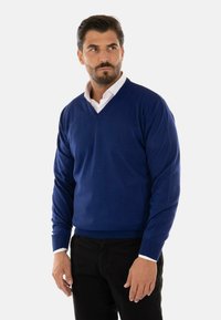 Maglione a V blue royal realizzato in un materiale morbido, con maniche lunghe e orlo a coste, indossato sopra una camicia bianca con colletto.