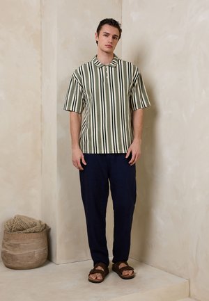Next, REGULAR FIT - VERTICAL STRIPE POLO SHIRT  . - Polo - green white