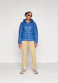 Patagonia SWEATER HOODY - Gewatteerde jas - clement blue