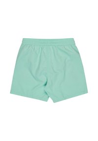 Shorts de bain vert menthe clair en tissu doux, dotés d'une taille élastique, d'une texture lisse et sans motifs ni accents visibles.