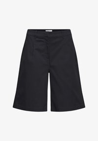 Niet geselecteerd, meteorite