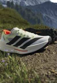 Λευκά και μαύρα παπούτσια τρεξίματος Adidas Terrex σε μονοπάτι από χώμα με χορτάρι και βουνά στο παρασκήνιο.