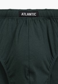 Ciemnozielone bawełniane slipy z elastycznym pasem, z czarną metką z białym napisem "ATLANTIC". Miękka, gładka tekstura.