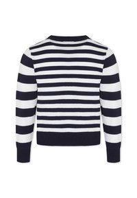 Maglione a righe blu navy e bianche con maniche lunghe, scollatura rotonda e orlo e polsini a coste. Tessuto morbido a maglia, design corto.