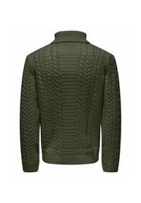 Suéter de punto verde oscuro con cuello alto, patrón de trenzas texturizadas y puños y dobladillo acanalados. Vista trasera mostrada.