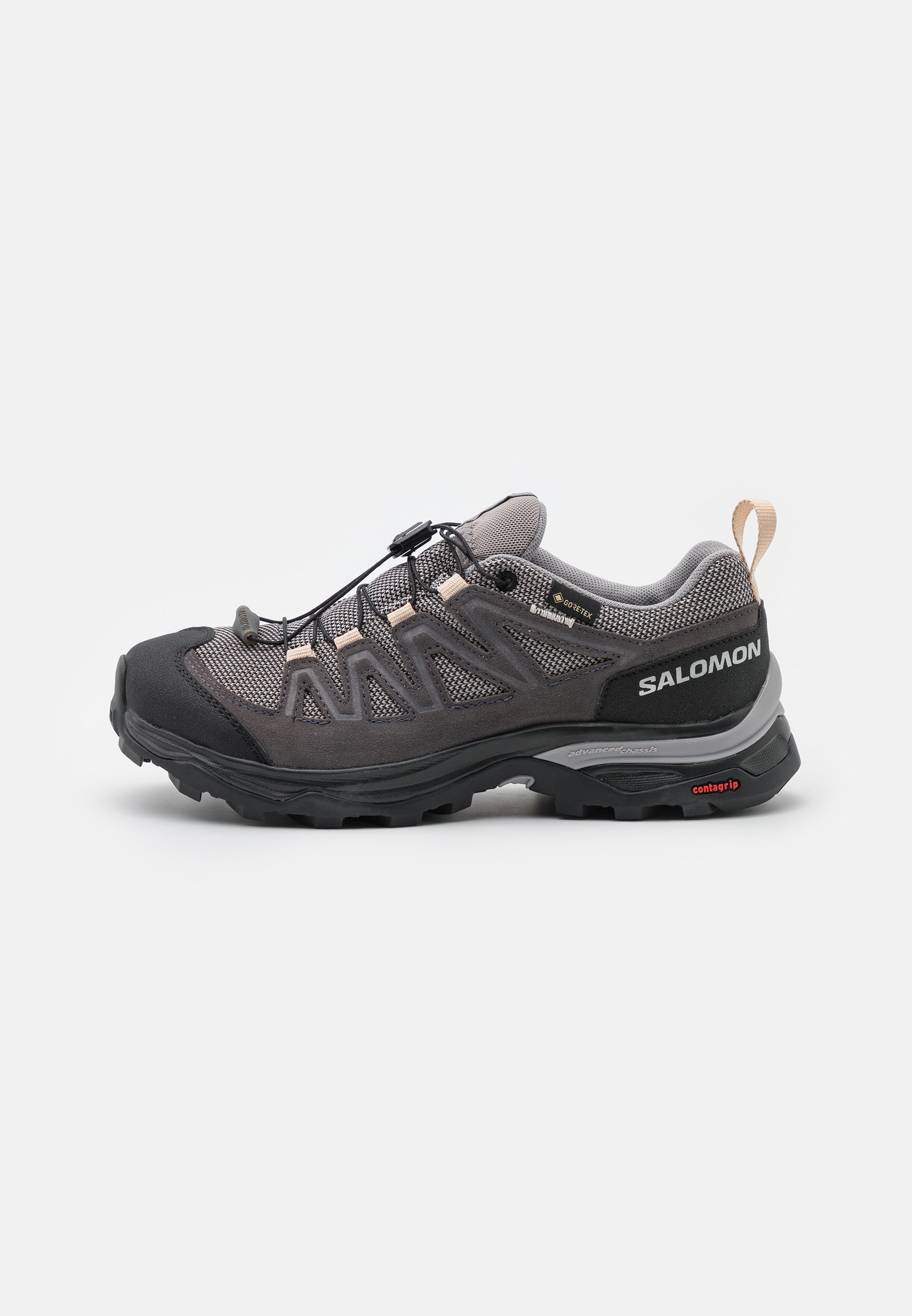 Salomon X WARD GTX - Hiking shoes - gull/black/ebony/black