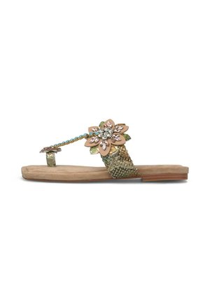 Alma en Pena, - Japonki