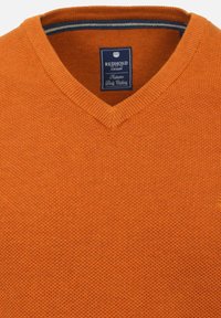 Redmond MIT V-AUSSCHNITT - Trui - gelb messing