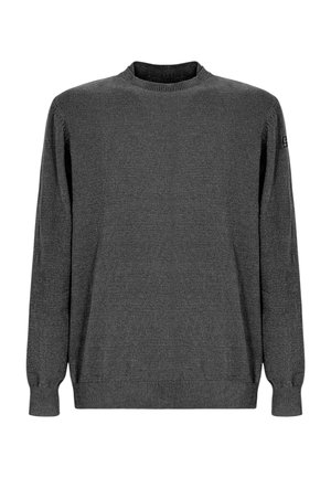 Maglione lavorato a maglia grigio scuro con maniche lunghe, scollatura a girocollo e polsini e orlo a coste. Texture sottile senza motivi o accenti.