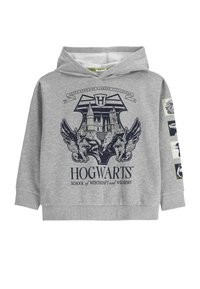 Szary hoodie z grafiką herbu Hogwarts z zamkiem i skrzydlatymi stworzeniami. Długie rękawy z symbolicznymi naszywkami i ściągaczami.