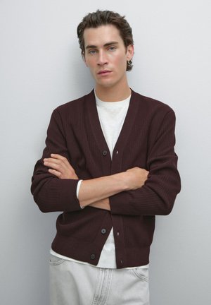 Mladý muž s krátkými hnědými vlasy a modrýma očima má na sobě tmavě hnědý zapínací cardigan přes bílou košili, s arms crossed, na světle šedém pozadí.