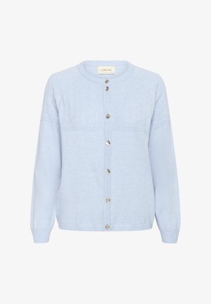 Cardigan lavorato a maglia azzurro chiaro con scollo rotondo, bottoni argentati sul davanti e un sottile motivo testurizzato sulla parte superiore del petto e sulle maniche.