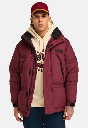 Bordeaux pufferjack met zwarte accenten, voorzien van een ritssluiting aan de voorkant, zijzakken en een hoge kraag. Draagt over een beige hoodie.