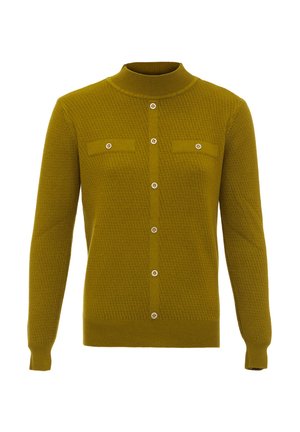 CO-BRANDED WITH CARATO - Striktrøje - oliv