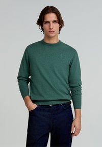 Grüner Strickpullover mit Rundhalsausschnitt und langen Ärmeln, kombiniert mit dunkelblauen Jeans. Glatte Textur, minimalistisches Design, keine sichtbaren Muster.