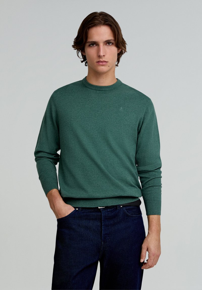 Pull en tricot vert avec un col rond et des manches longues, associé à un jean bleu foncé. Texture lisse, design minimaliste, sans motifs visibles.