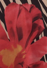 Rote Blume mit gelbem Zentrum und glatten Blütenblättern. Der Hintergrund hat schwarz-weiße Zebrastripes, die ein kontrastierendes Muster bilden.