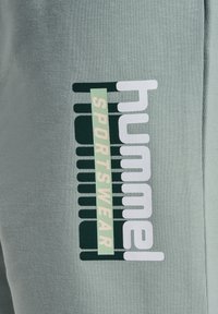Ljusgrön sportklädsel med ordet "hummel" i fetstil i vitt och mörkgrönt, med "SPORTSWEAR" i blekgrönt nedanför.