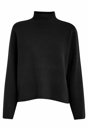 Schwarzer Rollkragenpullover aus weichem Stoff. Mit langen Ärmeln, einem lockeren Schnitt und einer glatten Textur. Einfaches, unvergünstigtes Design.