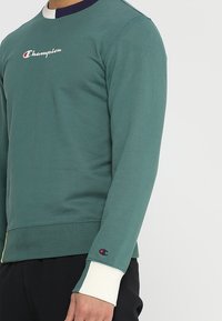 Felpa verde con colletto rotondo e colletto in contrasto blu notte. Presenta un logo sul petto e polsini chiari con dettagli del logo.