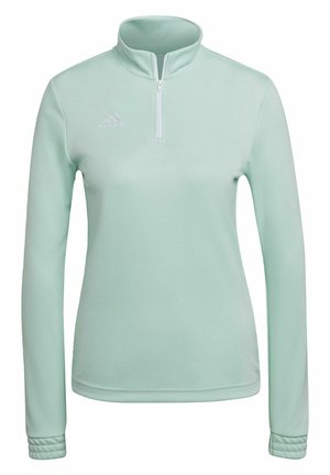 Pullover verde menta chiaro con colletto alto, zip a un quarto e maniche lunghe. Presenta polsini a coste e un piccolo logo sul petto.