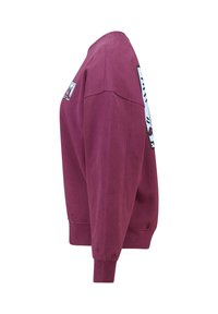 Sweatshirt bordeaux à coupe décontractée, graphiques brodés sur le devant et la manche, poignets côtelés, et col rond. Texture lisse.