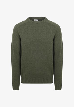 Grüner Strickpullover mit Rundhalsausschnitt, langen Ärmeln und gerippten Bündchen und Saum. Hergestellt aus einem weichen, strukturierten Stoff.