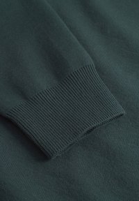 DOUBLE A BY W.W. CURT CREW NECK - Strickpullover - green gables