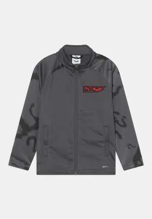 Veste de sport grise avec fermeture éclair, accents noirs et logo rouge. Fabriquée en matériau lisse et léger avec un motif subtil sur les manches.