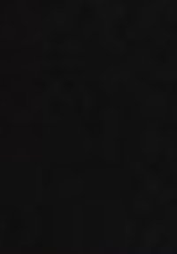 Tessuto nero con un motivo testurizzato, caratterizzato da una finitura opaca. Il materiale appare resistente, senza loghi o dettagli visibili.