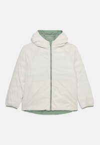 The North Face REVERSIBLE PERRITO HOODED JACKET UNISEX - Veste d'hiver - slate moss