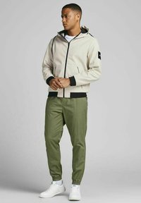 Jack & Jones JCOCLASSIC JACKET HOOD  - Winter jacket - moonbeam