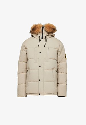 Alessandro Zavetti CANADA OSHAWA - Winter jacket - stone