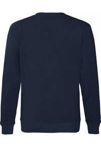 Felpa blu navy con maniche lunghe, scollatura rotonda, polsini e orlo ribattuti, realizzata in morbido cotone, con una superficie liscia.