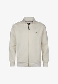 No seleccionado, seashell