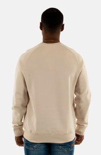 Felpa a girocollo beige chiaro realizzata in tessuto morbido, con polsini e orlo a coste. Presenta una superficie liscia e un design con maniche raglan.