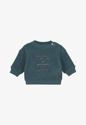 Teal sweatshirt van zacht materiaal, met een ronde hals, korte mouwen en geborduurde tekst "HAVE A GOOD DAY" in kleurvolle letters.