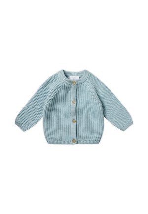 UNISEX - Gilet - pistazie