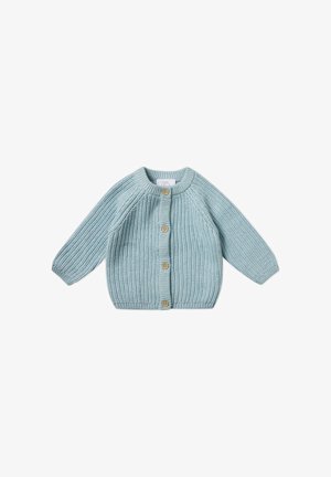 Lichtblauwe gebreide cardigan met lange mouwen, ronde halslijn en vijf houten knopen aan de voorkant. Gestreept rib patroon over de gehele cardigan.