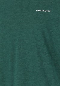 Vihreä t-paita, joka on valmistettu pehmeästä, teksturoidusta kankaasta; rintakehässä valkoinen "ENDURANCE" -logo; lyhyet hihat, pyöreä pääntie.