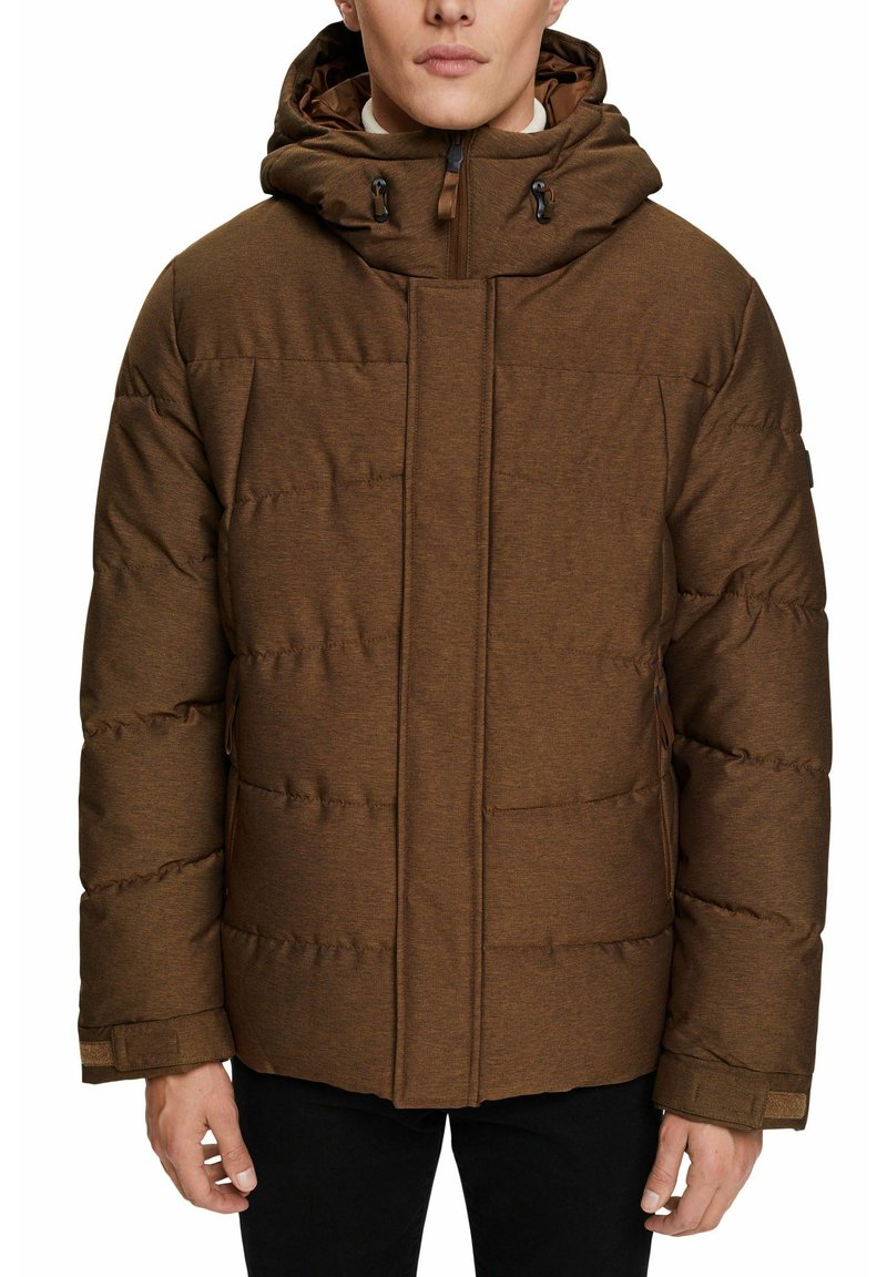 Esprit Winter jacket bark/beige Zalando.co.uk