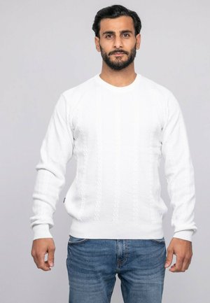 Homme aux cheveux foncés et à la barbe, portant un pull blanc à torsades et un jean bleu, debout devant un fond gris clair uni.