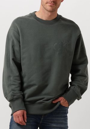 APPLIQUE CREW NECK - Sweatshirt - grijs