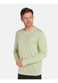 Hellgrünes Langarmshirt aus weichem Stoff, mit Rundhalsausschnitt und Daumenlöchern an den Ärmeln, sowie einem dezenten Logo auf der Brust.