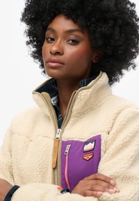 Superdry & Co VINTAGE RETRO HALF ZIP - Fleecová mikina - oatmeal beige