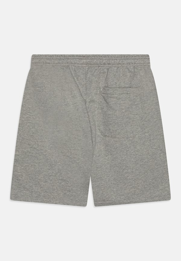 YOUTH MAPLETON UNISEX - Shorts - heather gray3